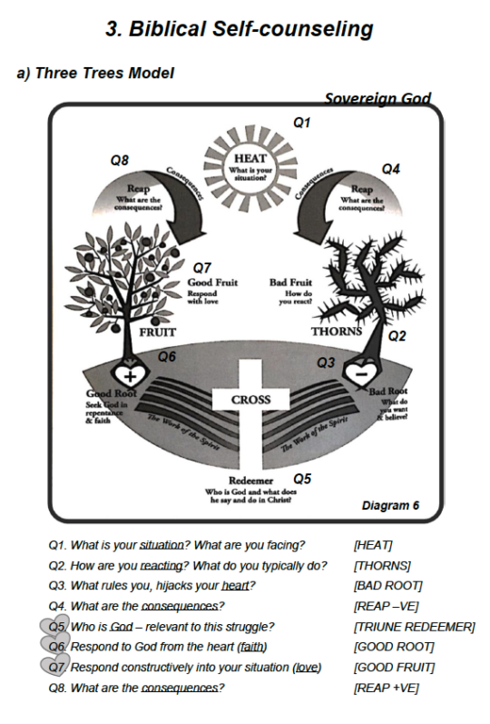 “3 Trees Model” Biblical Counselling Toolkit