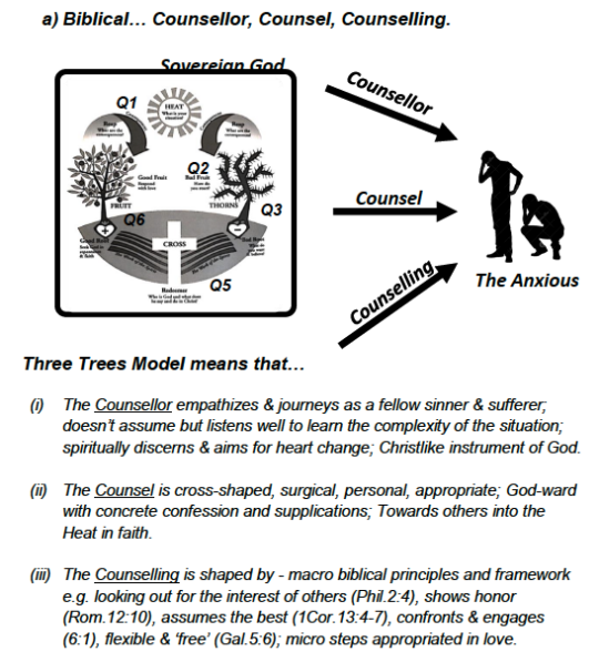“3 Trees Model” Biblical Counselling Toolkit